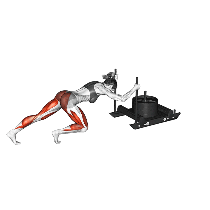 Sled Push demonstration